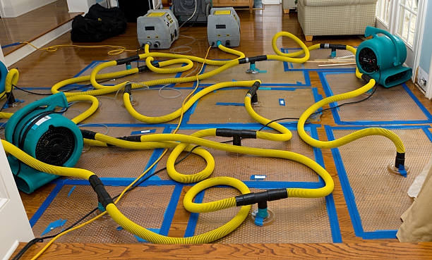 Professional Sewage Cleanup technician working in New Bloomington, OH