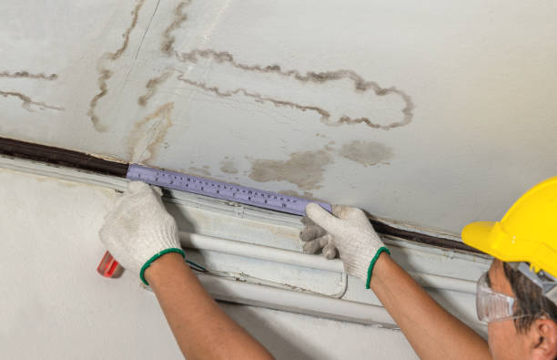 Affordable Sewage Cleanup solutions in New Bloomington, OH